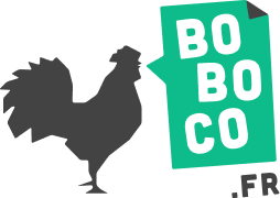 logo Boboco