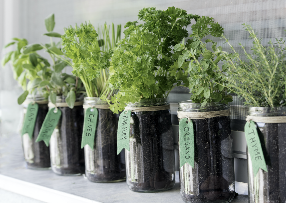 DIY Vos bocaux d'herbes aromatiques