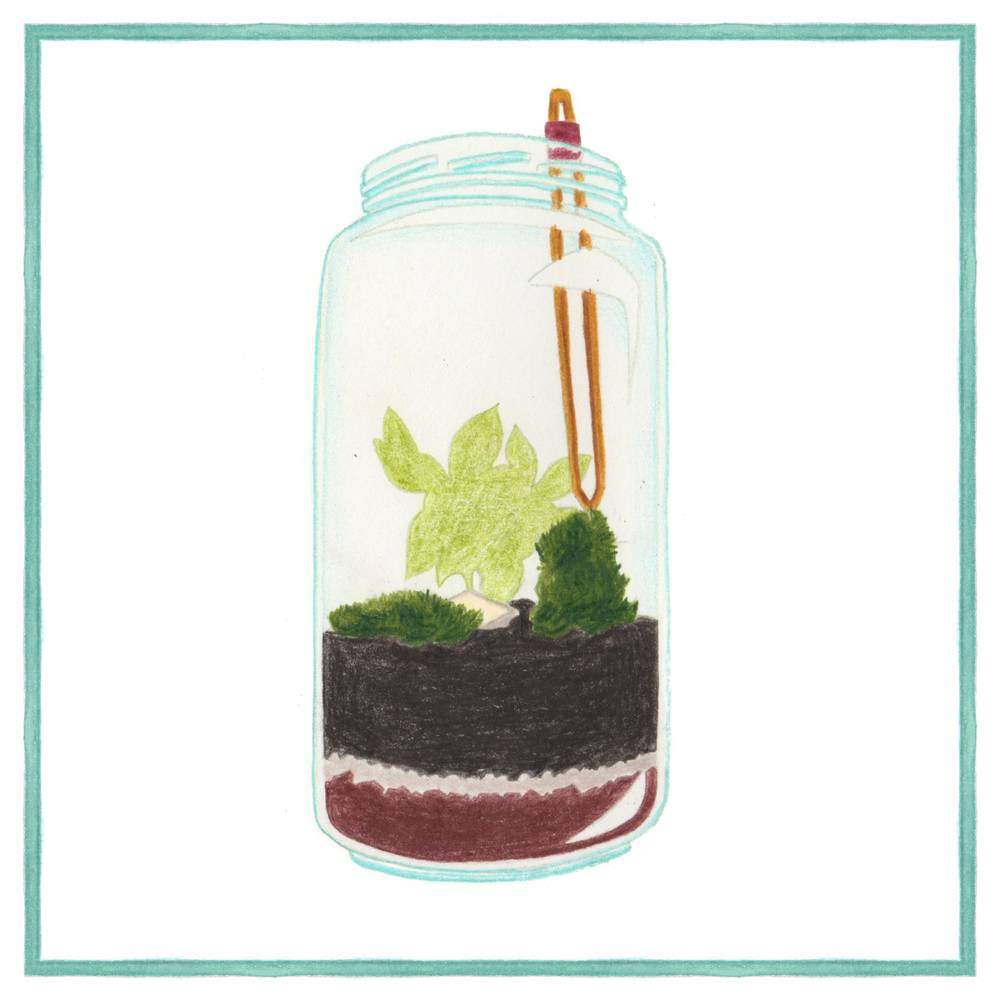 Planter terrarium