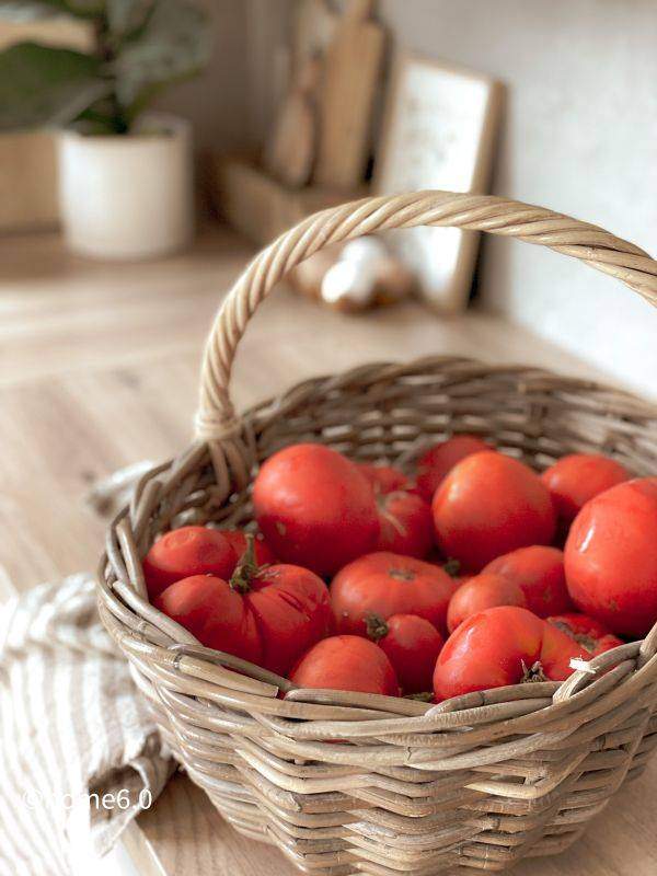 La sauce tomate est indispensable en cuisine : toutes nos recettes