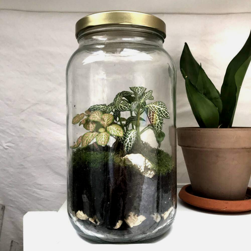 DIY-terrarium