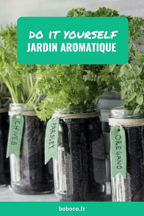 Jardin aromatique