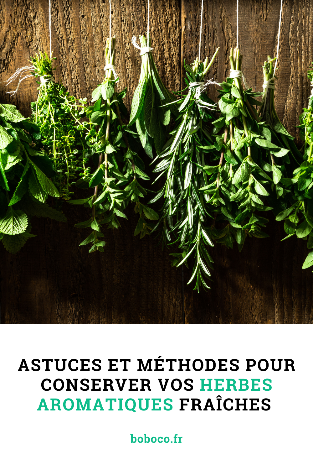 5 astuces pour conserver ses herbes aromatiques - Cuisine Actuelle