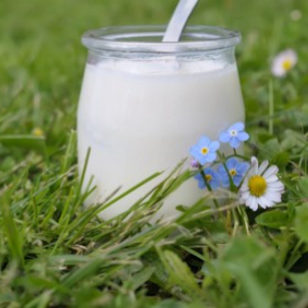 CAPSULE POT DE YAOURT BLANCHE