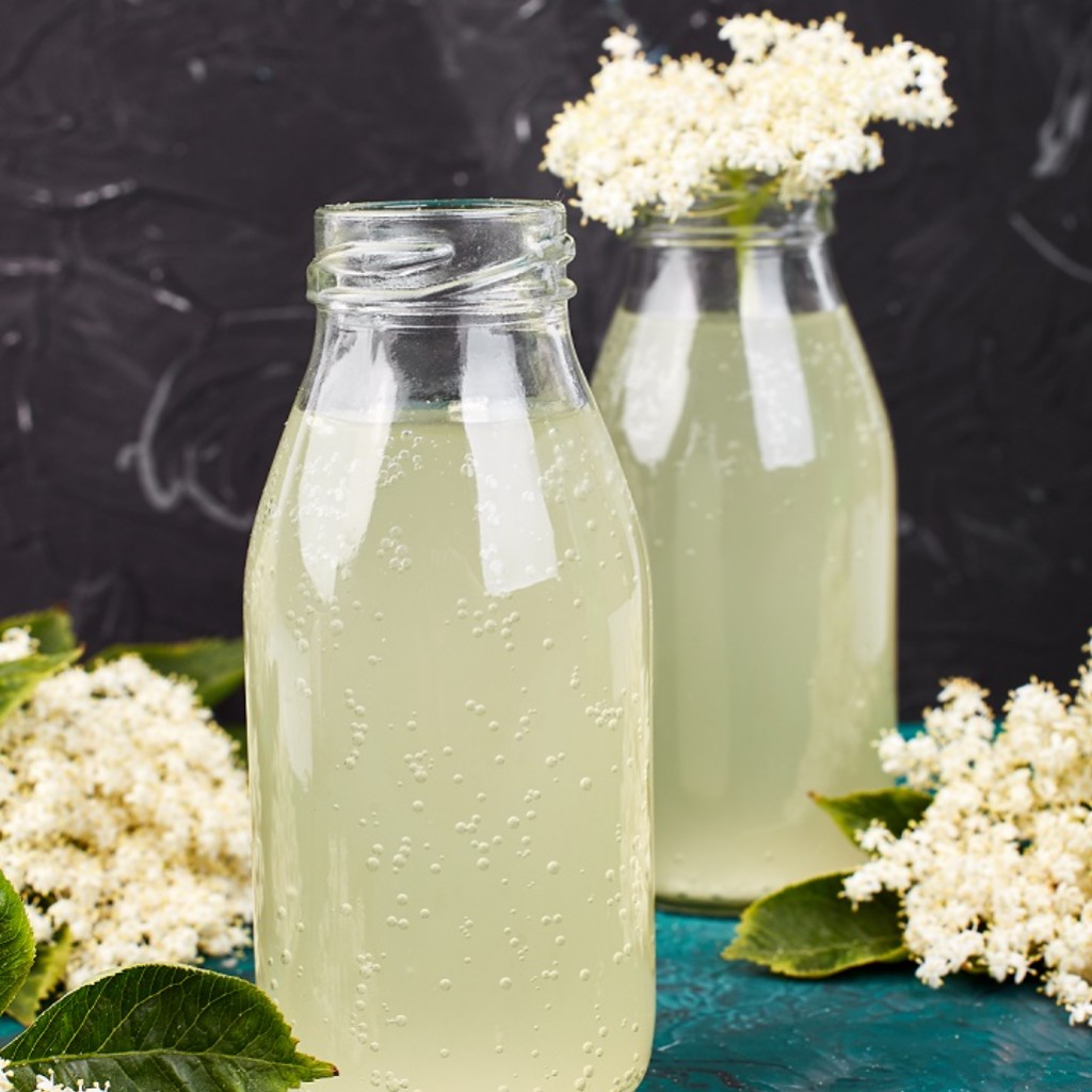 Sirop fleur de sureau