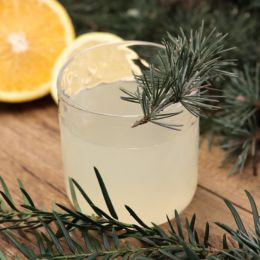 Recettes Boissons de Noël fermentées délicieuses avec Boboco