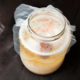 Kéfir maison : la recette facile et ses déclinaisons fruitées